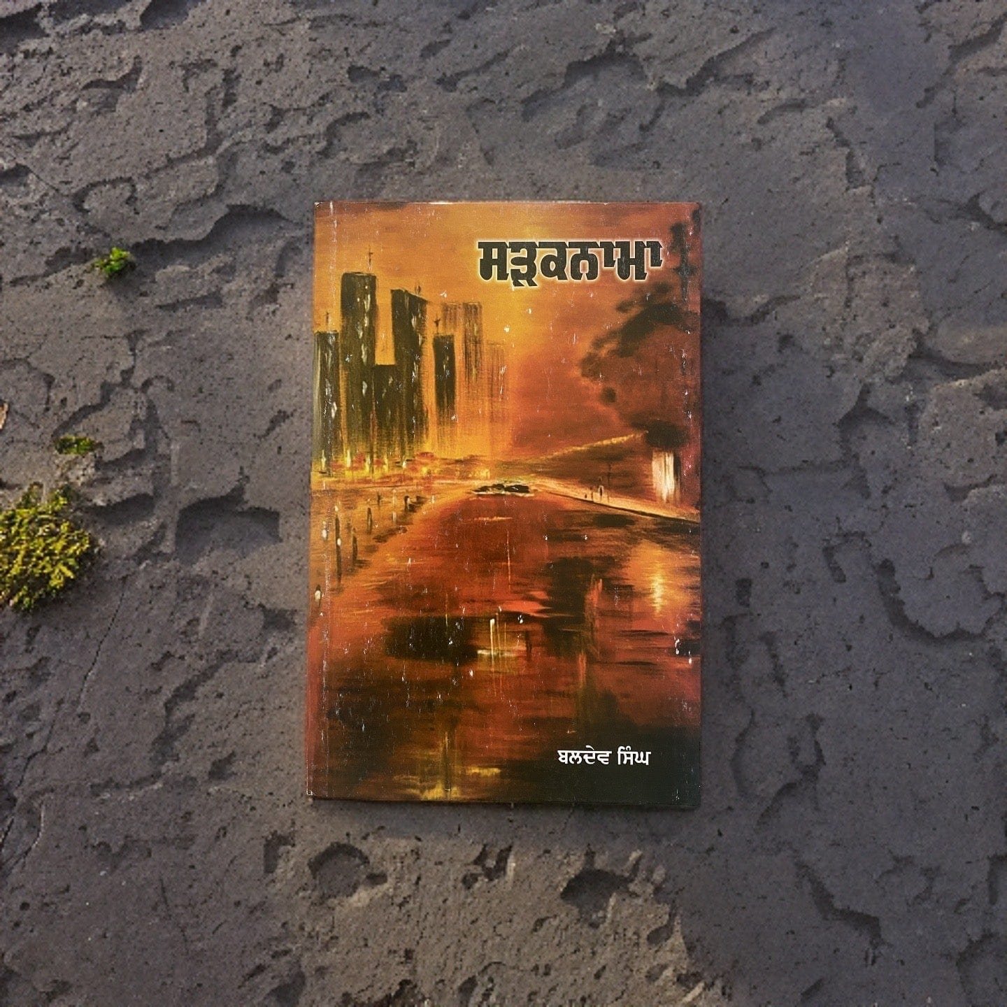 IMG-3329.jpg Sadaknama(Revised Edition) - Baldev Singh - Image 1