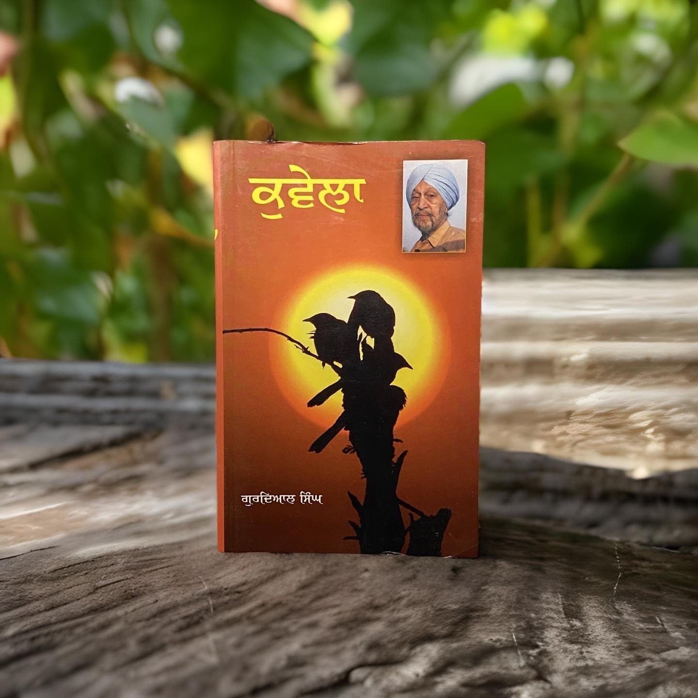 IMG-3442.jpg Kuvela by Gurdial Singh - Image 1