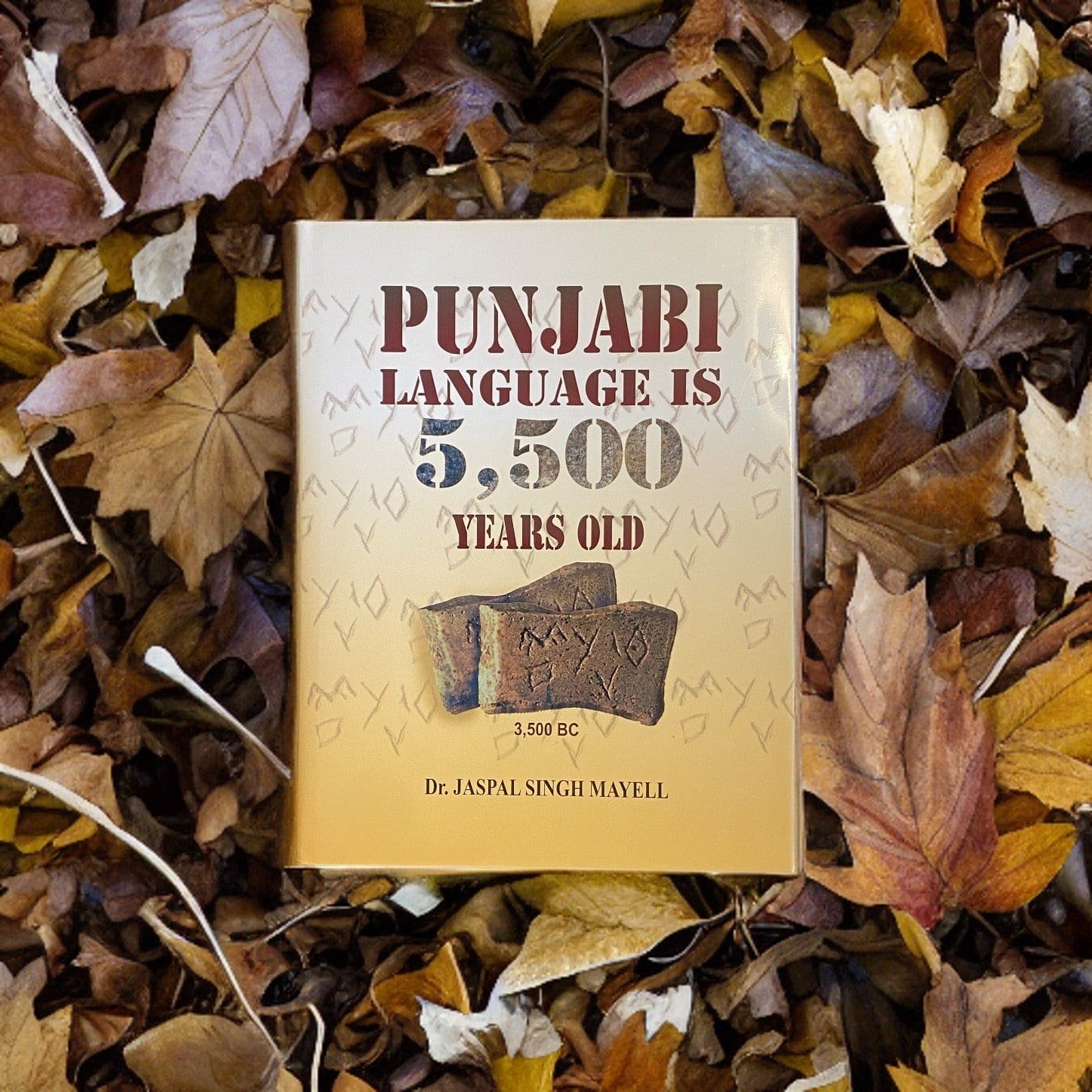 IMG-6321.jpg Punjabi Language is 5500 Years Old - Image 1