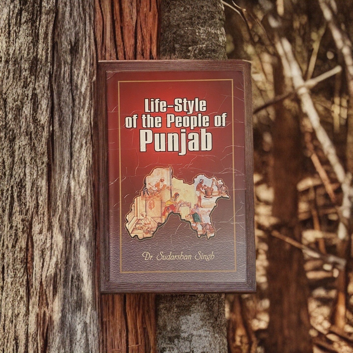 IMG-7419.jpg Life-Style of the people of Punjab - Image 1