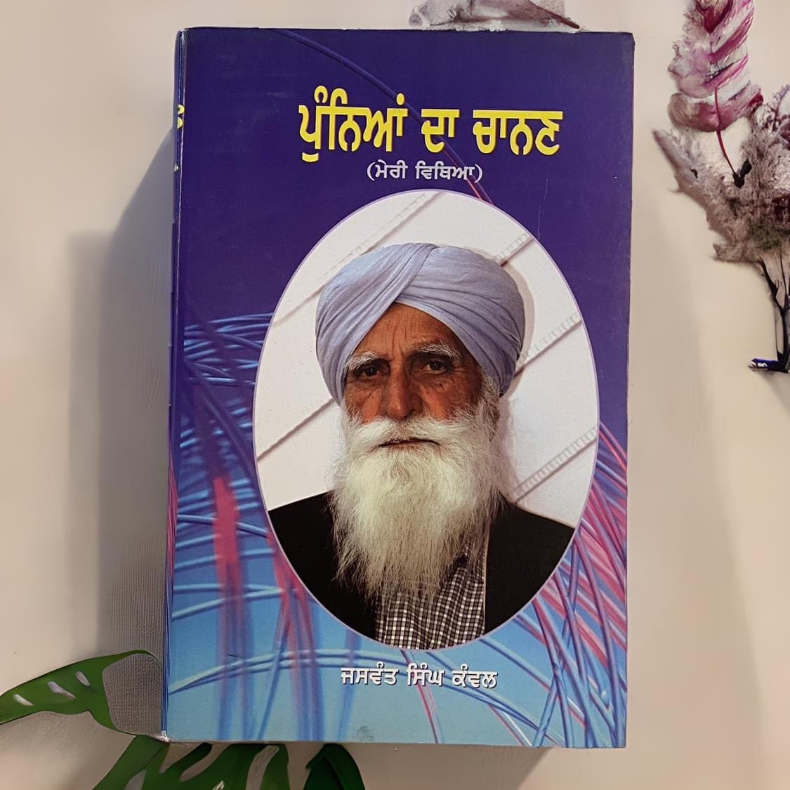 IMG_1123.jpg Punia Da Chanan - Jaswant Singh Kanwal - Image 1