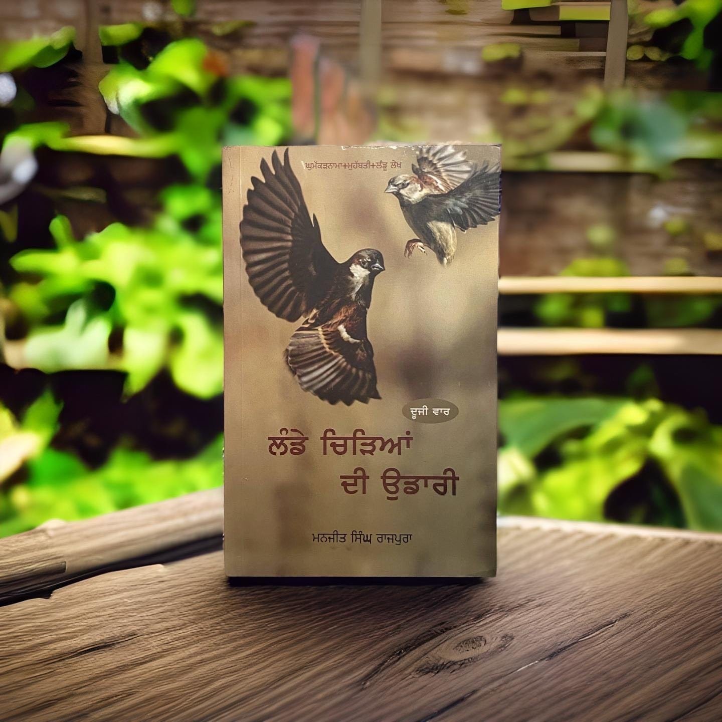 IMG_3463.jpg Lande Chiriyan Di Udari - Manjeet Singh Rajpura - Image 1